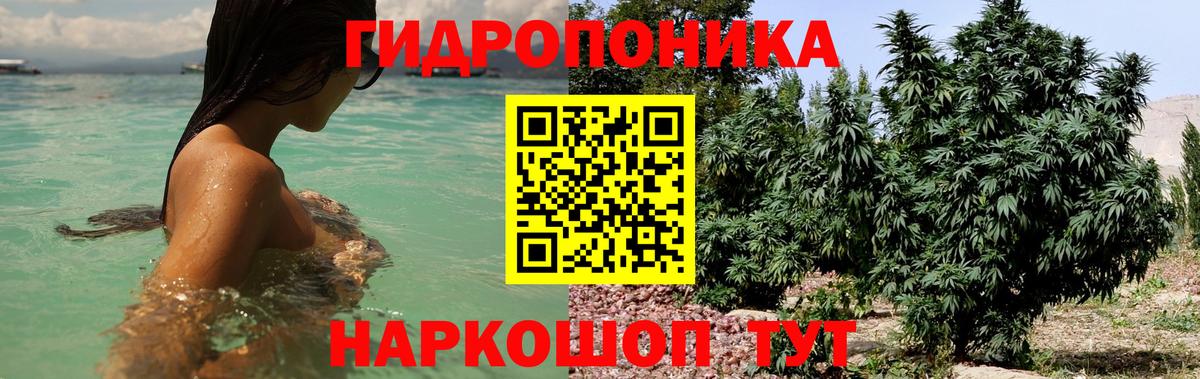 Конопля OG Kush  Бошки Шишки план  Вход с VPN  Зеленодольск 